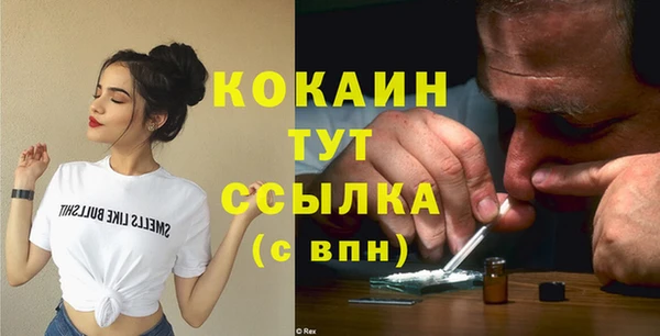 spice Карпинск