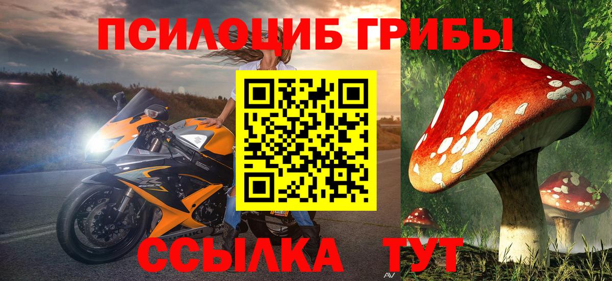 Псилоцибиновые грибы Psilocybe Арзамас