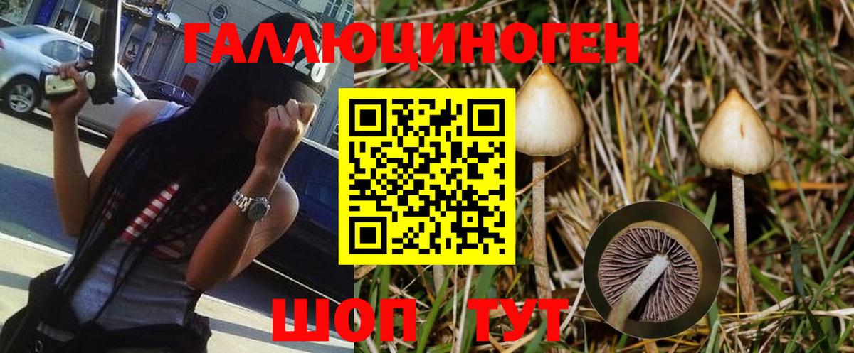Псилоцибиновые грибы MAGIC MUSHROOMS  Вход с VPN  Арзамас 