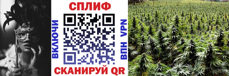 продажа наркотиков  Арзамас  Каннабис ГИДРОПОН 